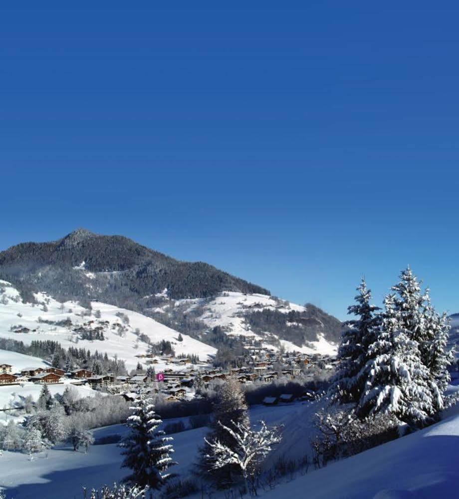 Belambra Clubs Praz-Sur-Arly - L'Alisier酒店 外观 照片
